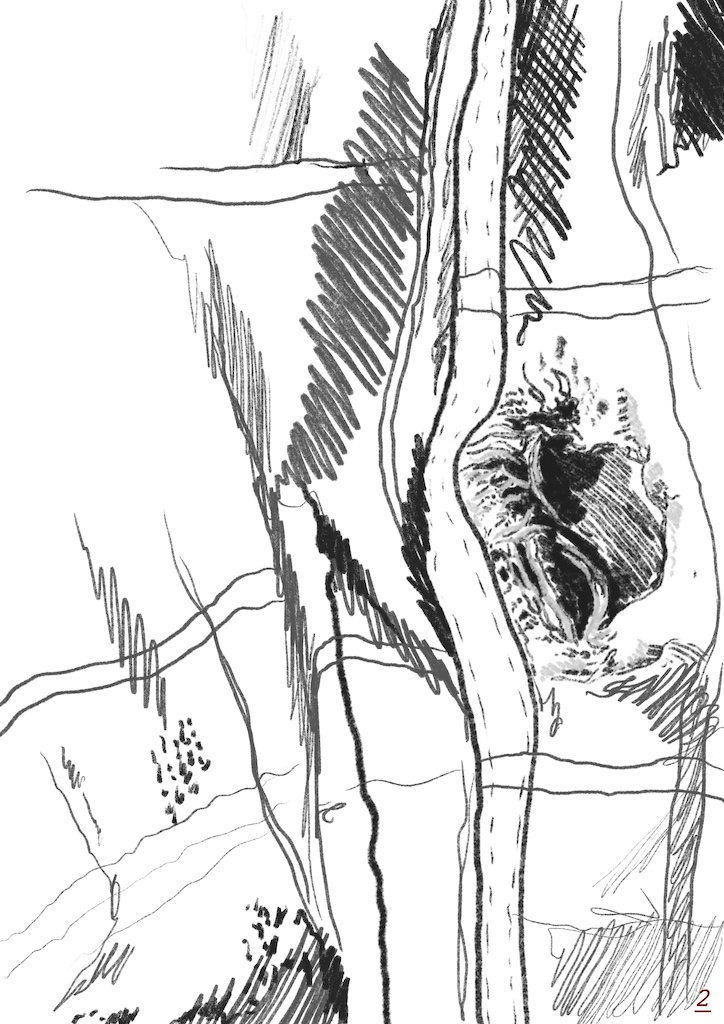 Drawing of a rip in a checked piece of fabric, in grey and black pencil