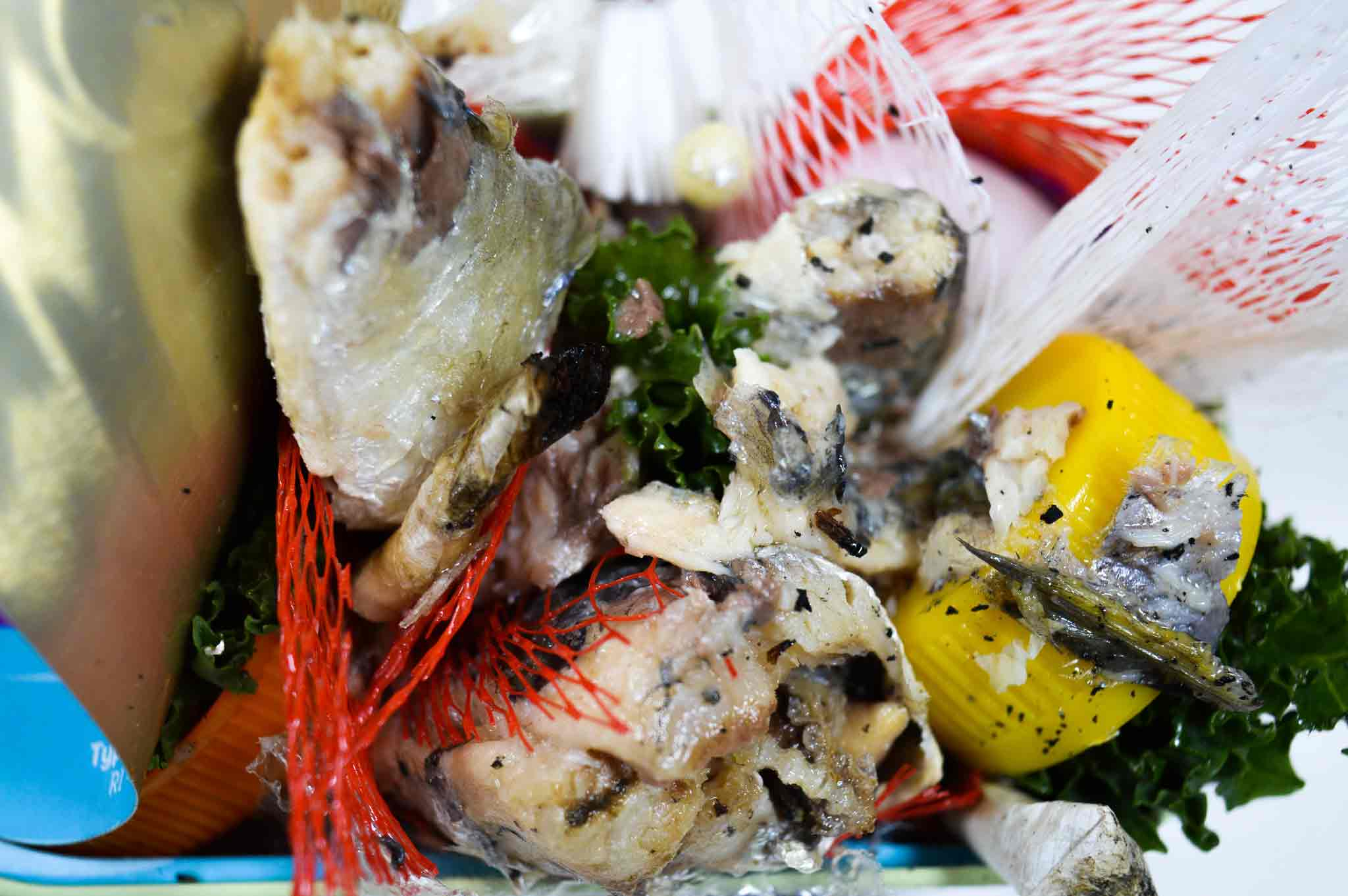 Close up shot of sardines mixed with plastic.