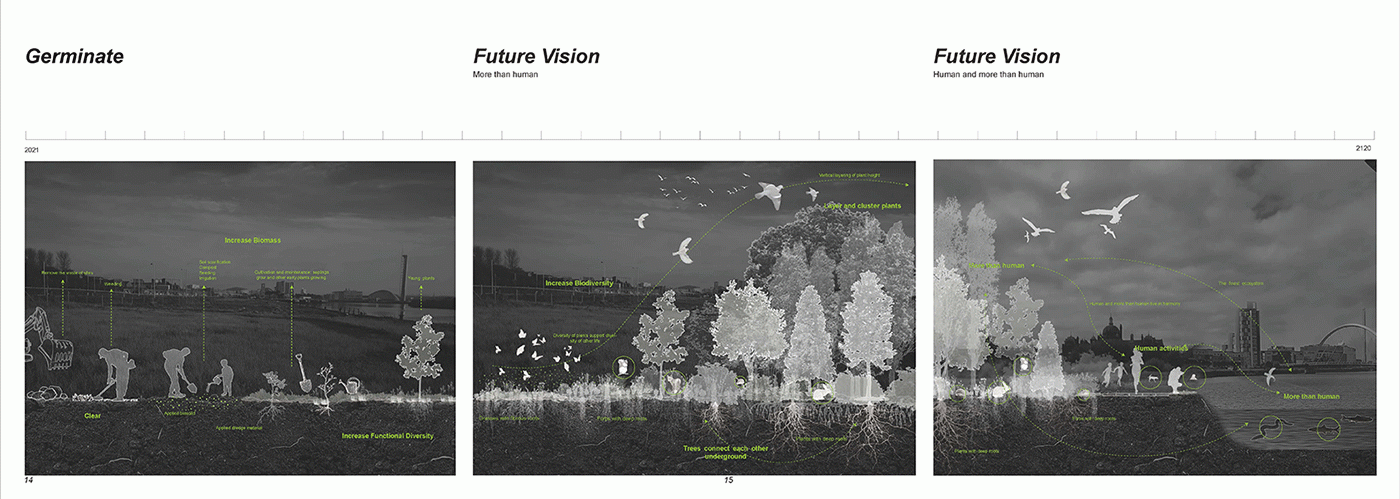 The wood wide web dynamic system