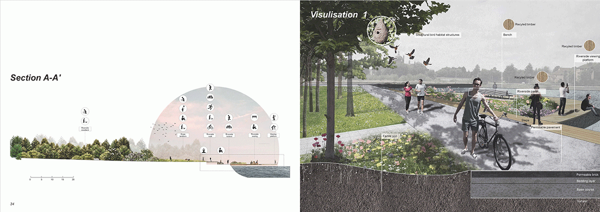section and Visualisation 1