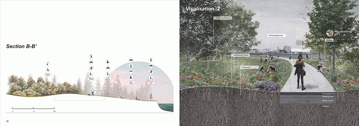 Section and Visualisation 2