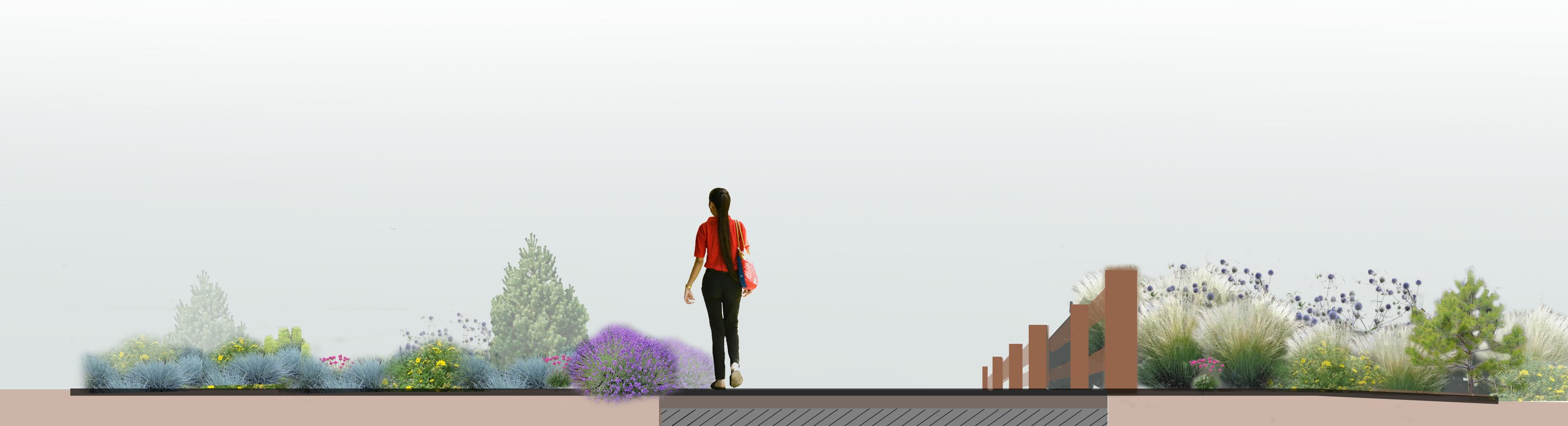 Section of main path, separating the meadow and regeneration areas