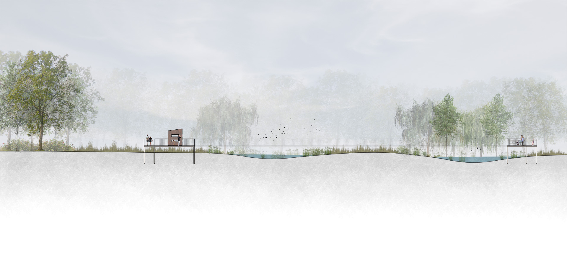 Section cutting through the wetland and boardwalk.