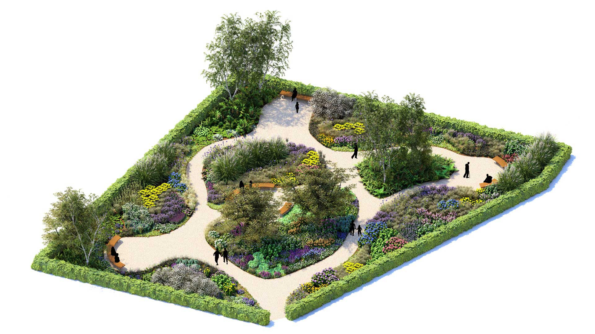Isometric of hedged perennial garden.
