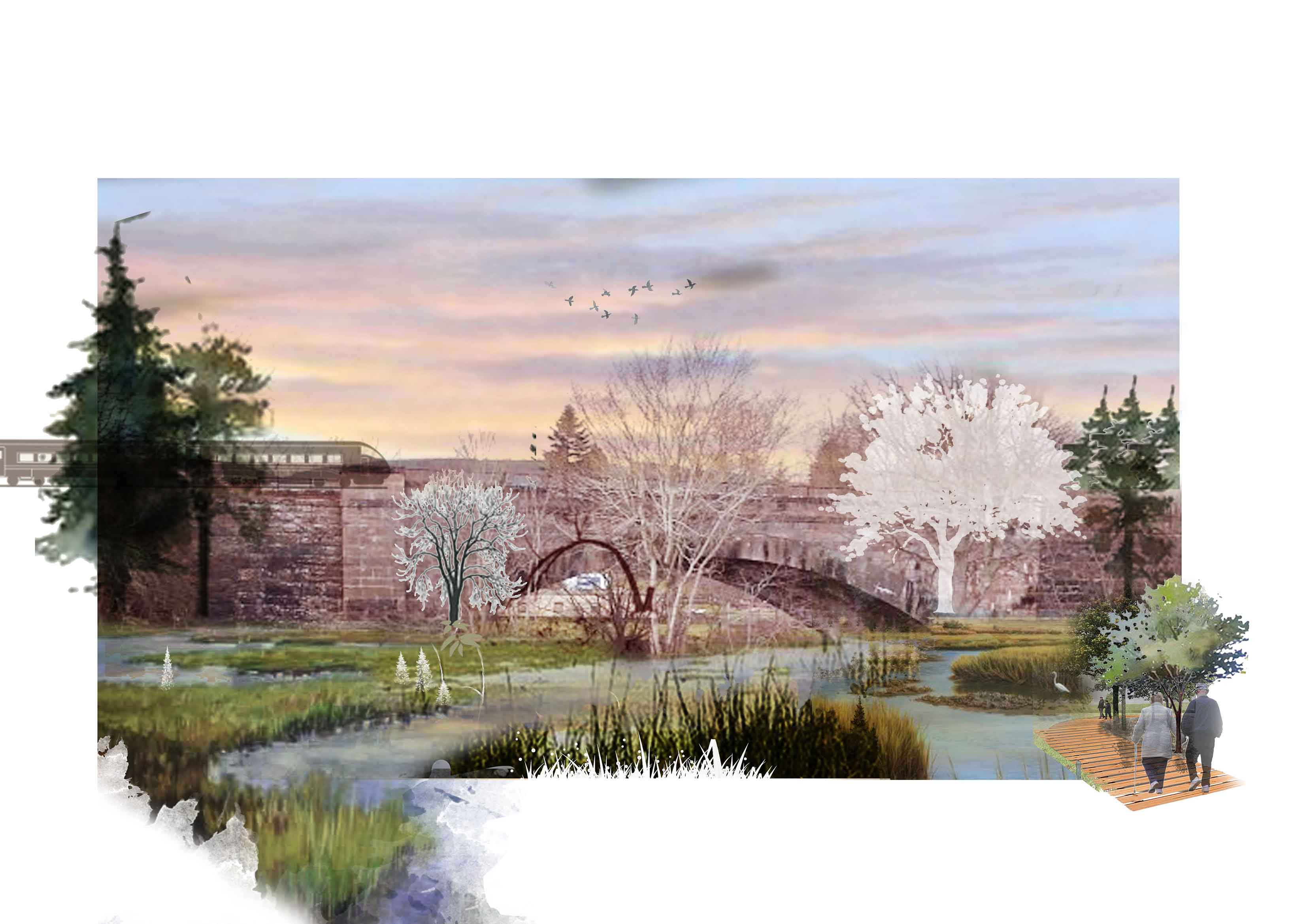 PERSPECTIVE OF WETLAND