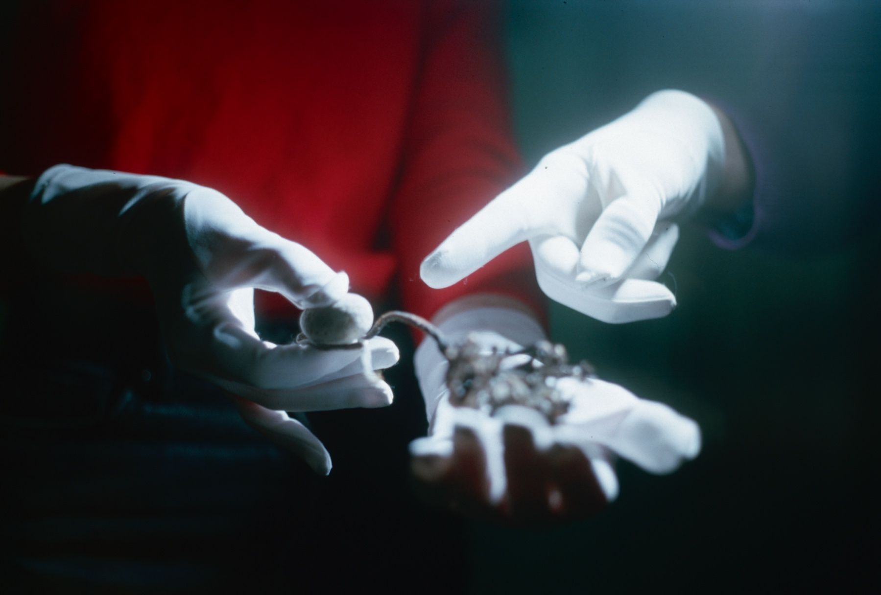 A close up photograph of two people wearing white archival gloves who are cradling a stone object 