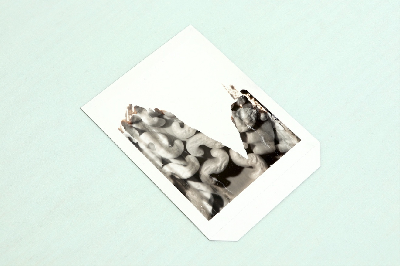 detail of polaroid in Ssss is for Support