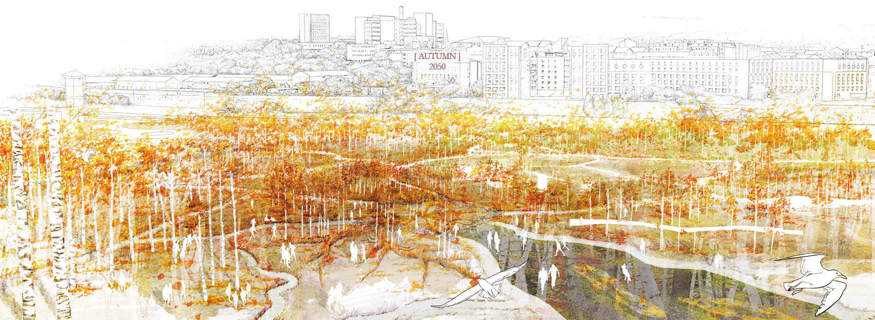 Visualisation | Autumn