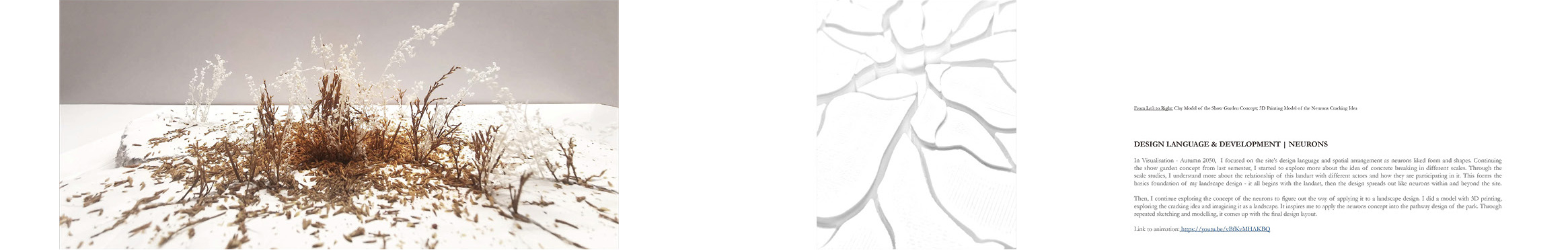 Models Experimentation