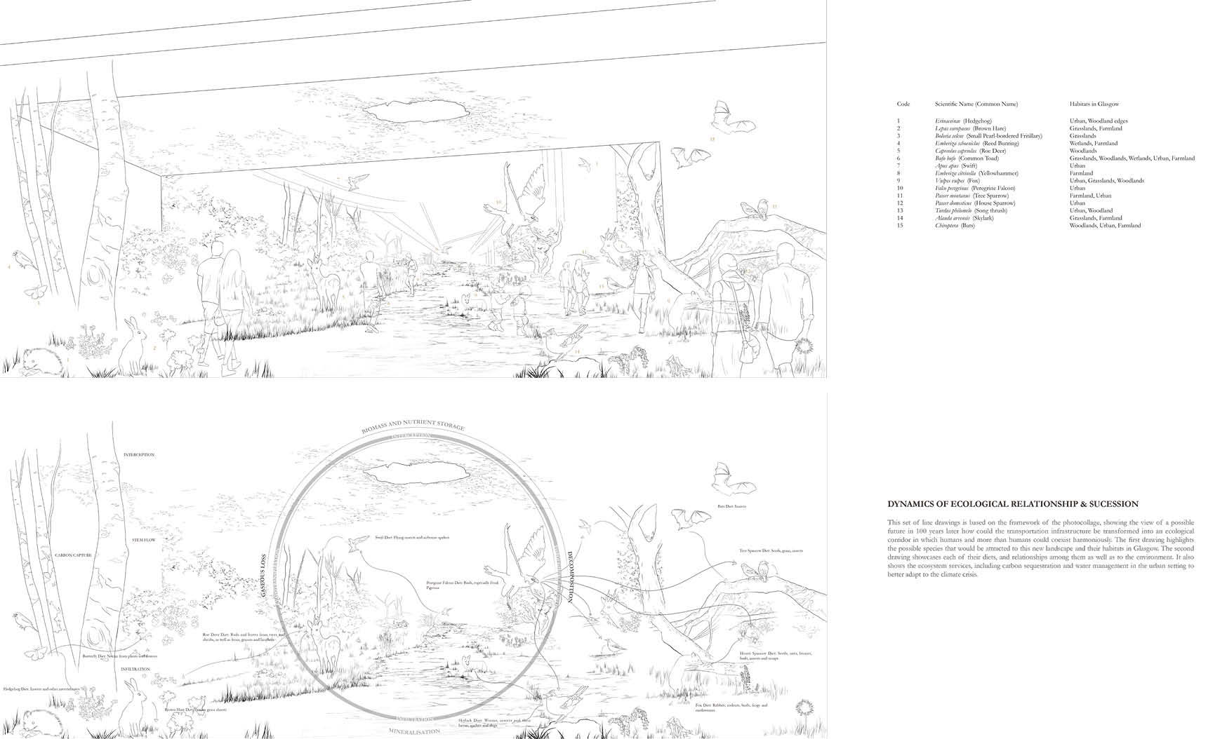 Re-imagination of 100 years later scenario