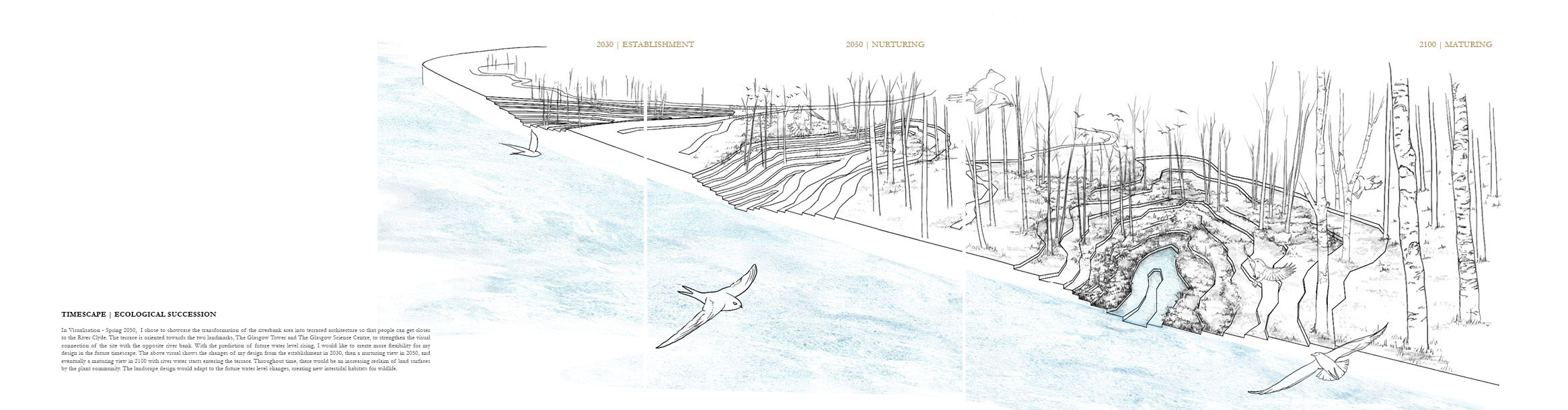 Ecological Succession