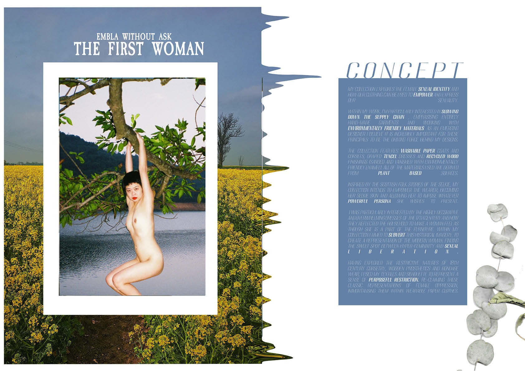 Portfolio Concept page