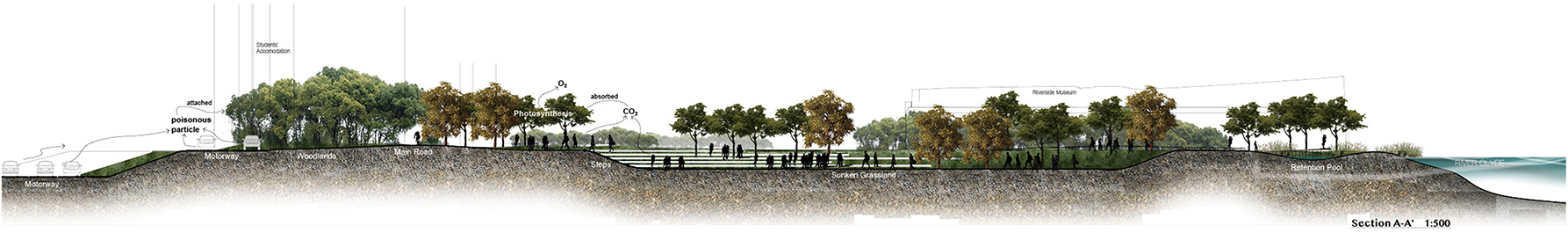 section