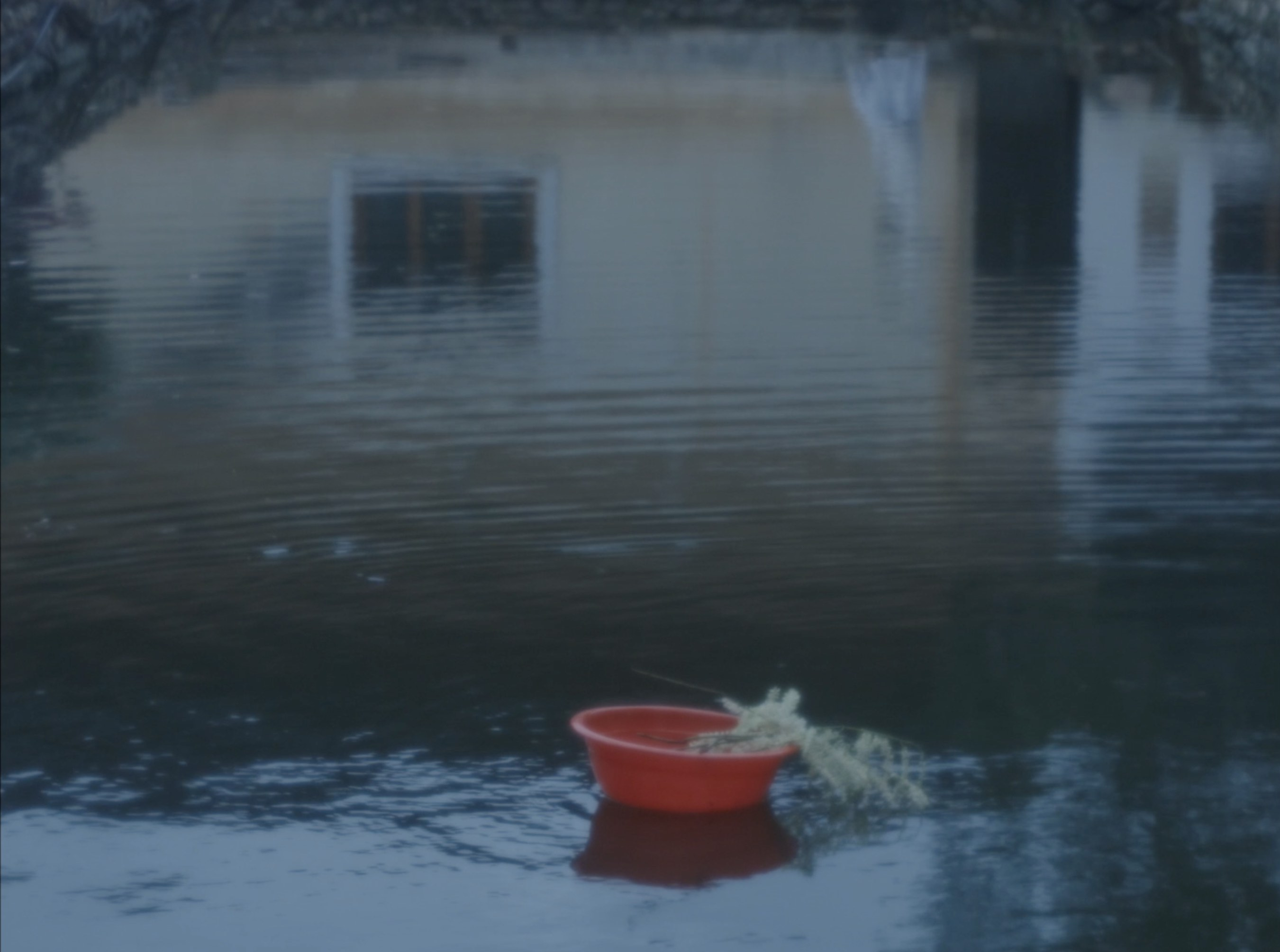 The Day She Disappeared