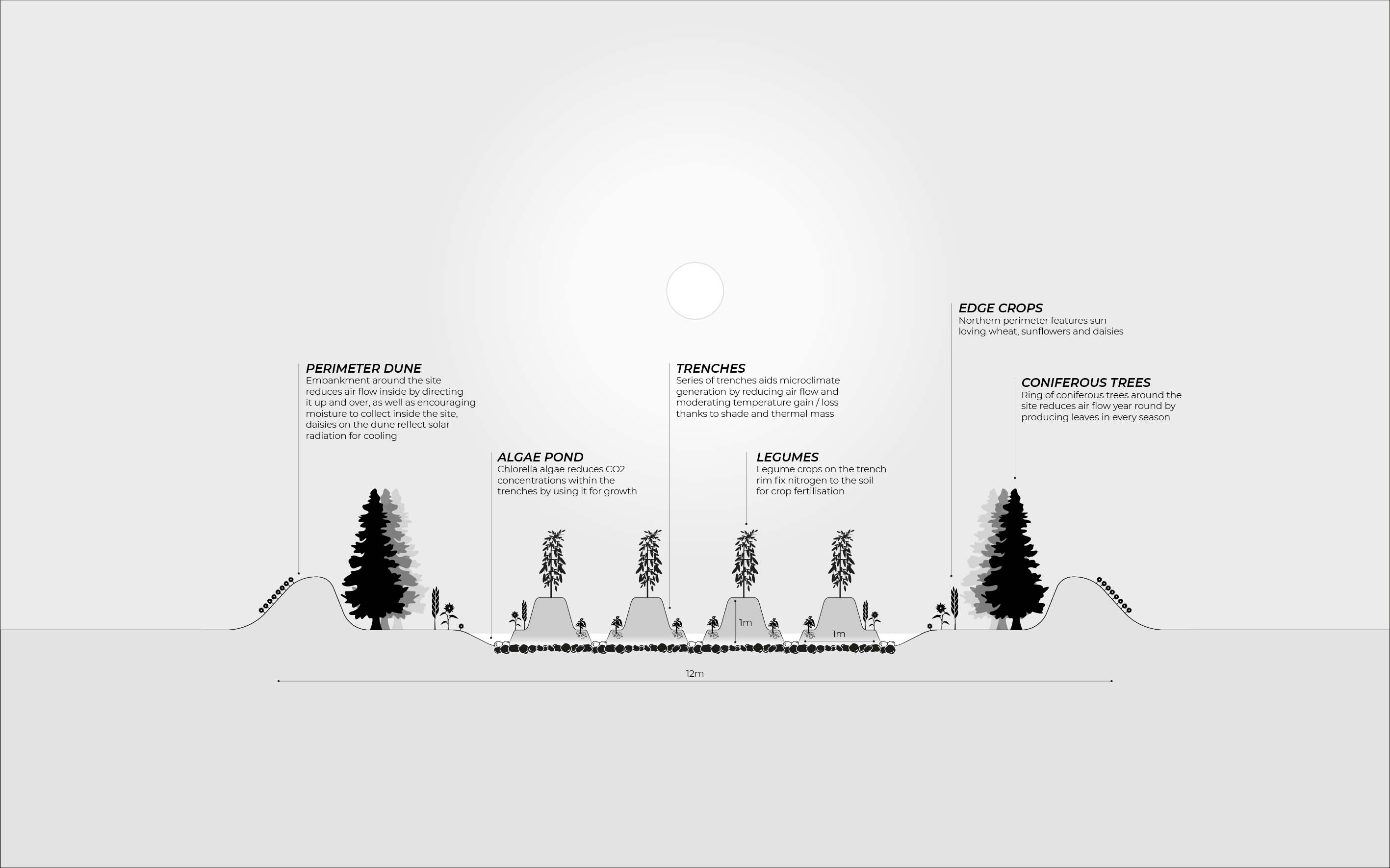 North view cross section of the permaculture system