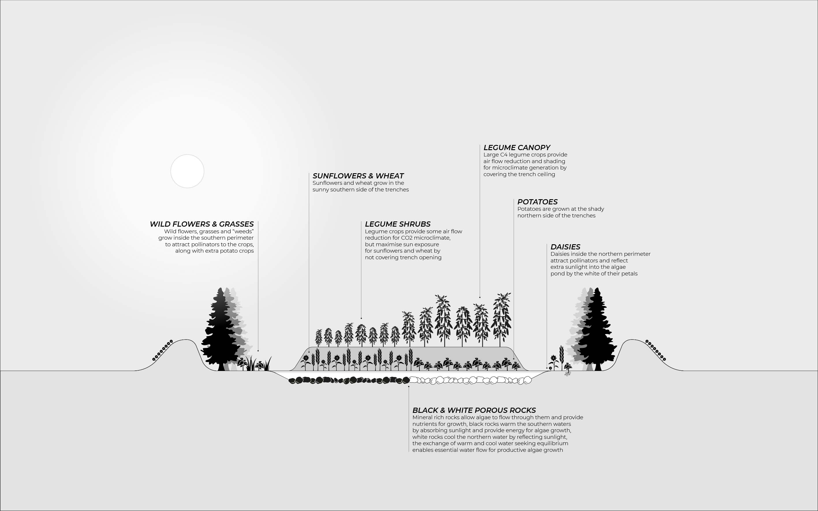 Side view cross section of the permaculture system