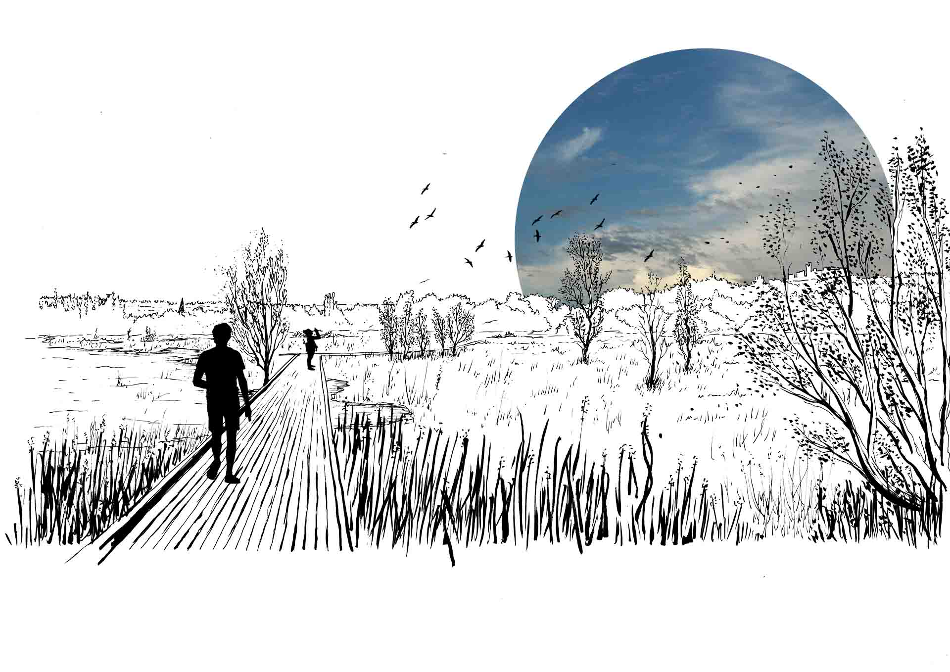 Dingwall green hedge -New places for new gardeners-
