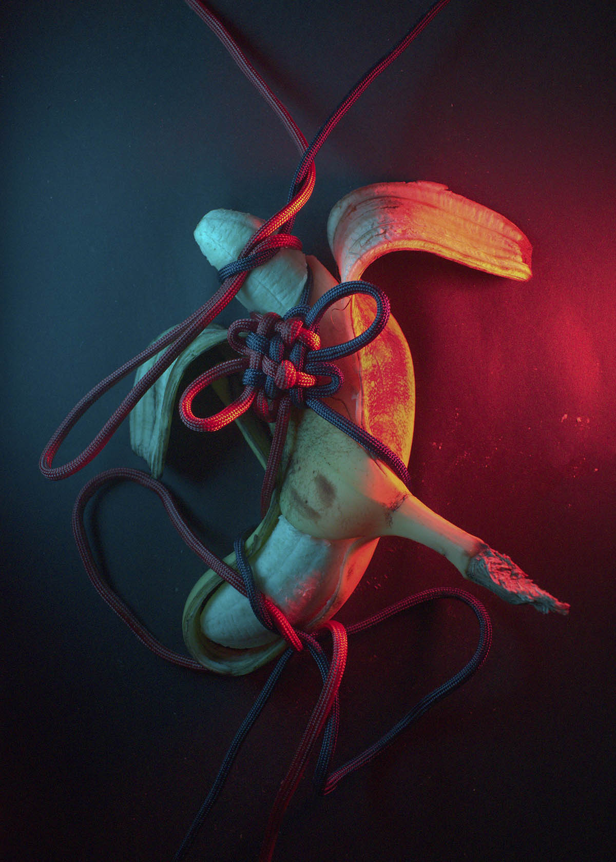 A peeled banana with the peel laying over the banana and encasing it, with red and blue rope tying the banana skin to the flesh, other knots digging into the flesh and a decorative knot at the centre. This is on top of a black background and lit with red and blue light.