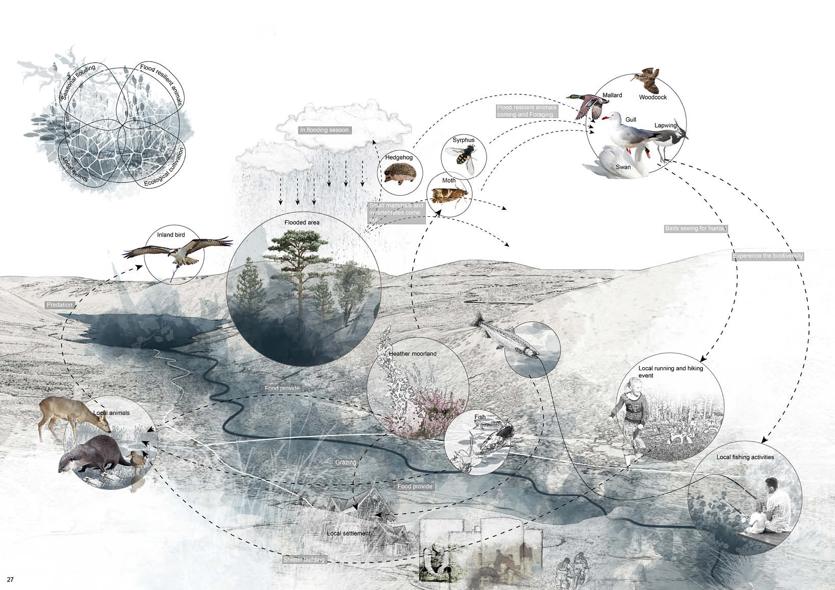 Combine flood, aquacultural farming, ecological system to build a dynamic system